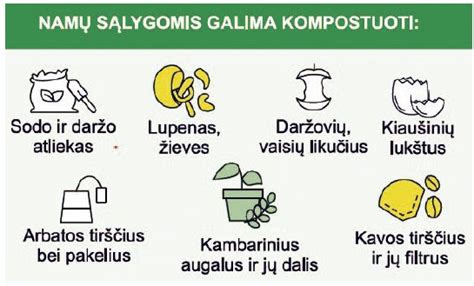 Nuotrauka, iliustruojanti skirtingų tipų atliekas, kurias galima kompostuoti