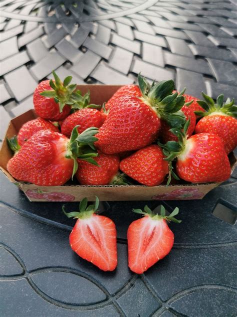 Įvairių veislių braškių uogos: dydis, spalva ir forma