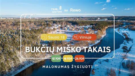 scheminis miško sodo išplanavimas su vingiuotais takais ir natūraliomis zonomis
